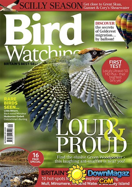 Bird Watching USA - September 2015