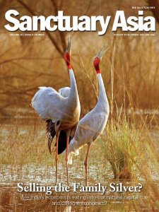 Sanctuary Asia - 08.2018 Sanctuary Asia - 08.2018