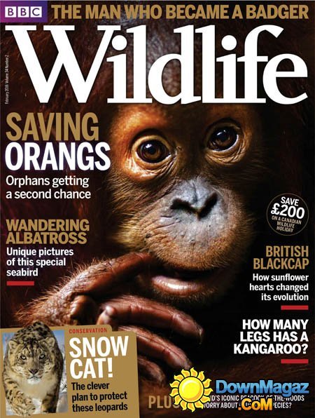 BBC Wildlife - February 2016