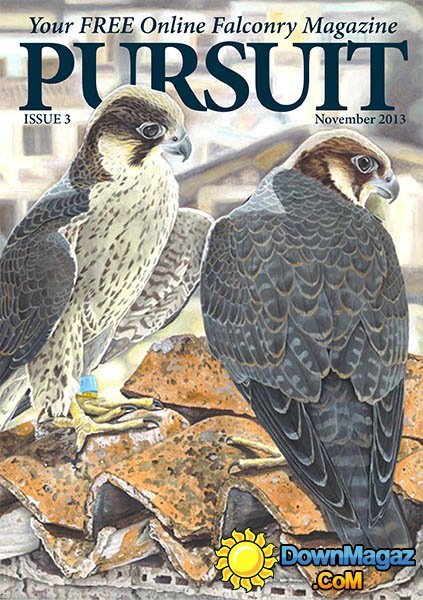 Pursuit Falconry Magazine – November 2013 Pursuit Falconry Magazine – November 2013