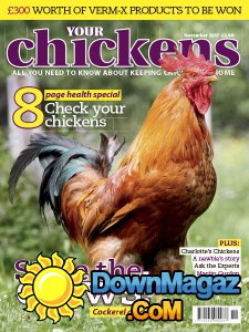 Your Chickens - 11.2017 Your Chickens - 11.2017