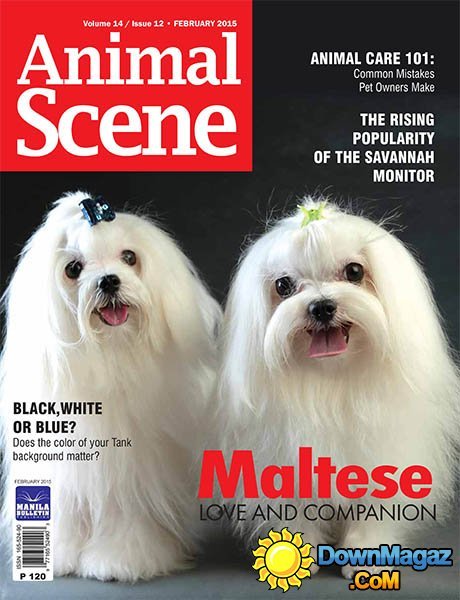 Animal Scene - February 2015 Animal Scene - February 2015