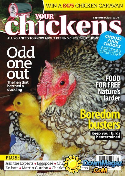 Your Chickens UK - September 2015 Your Chickens UK - September 2015