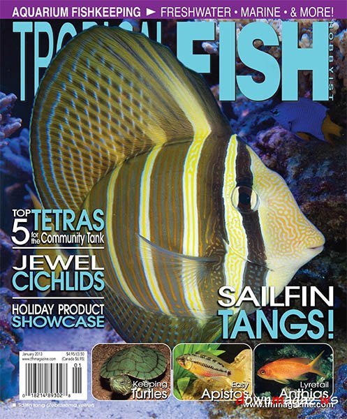 Tropical Fish Hobbyist Magazine January 2013 Tropical Fish Hobbyist Magazine January 2013