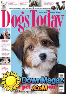Dogs Today UK - 04.2017 Dogs Today UK - 04.2017