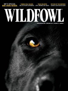 Wildfowl - 04/05 2018 Wildfowl - 04/05 2018