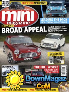 Mini - 11.2017 Mini - 11.2017