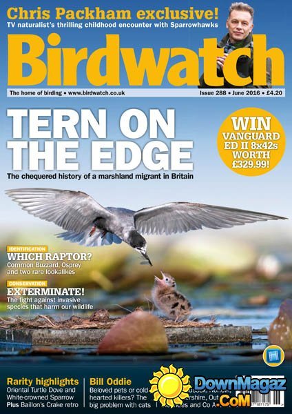 Birdwatch - June 2016 Birdwatch - June 2016