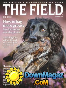 The Field - 08.2017 The Field - 08.2017