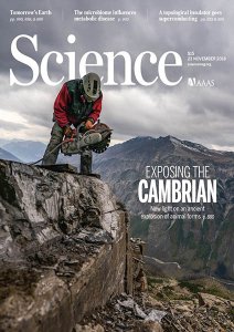 Science - 23.11.2018 Science - 23.11.2018