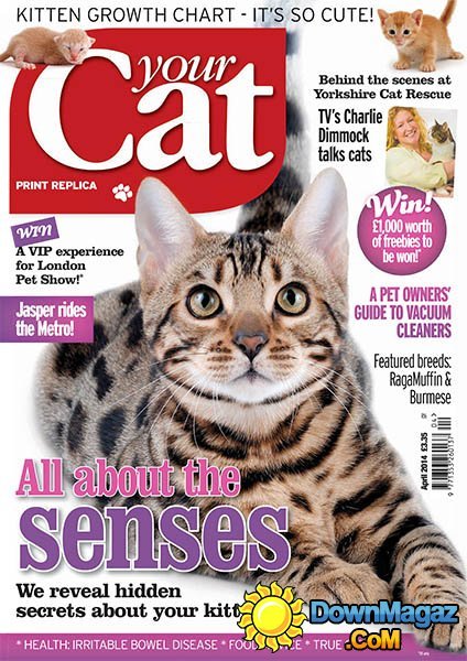 Your Cat - April 2014