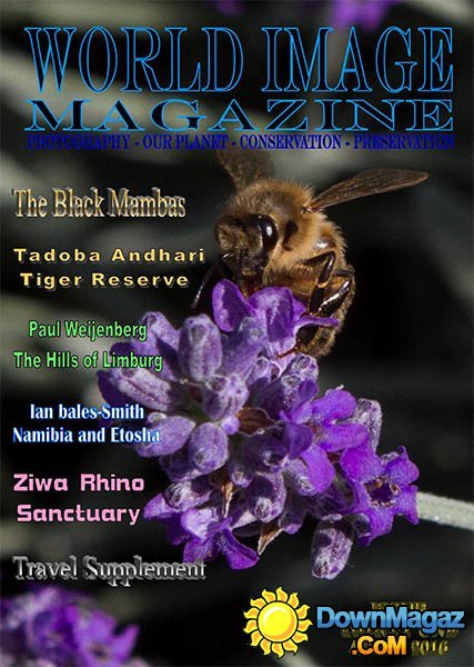 World Image - April 2016