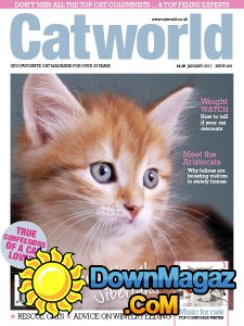Cat World - 01.2017 Cat World - 01.2017