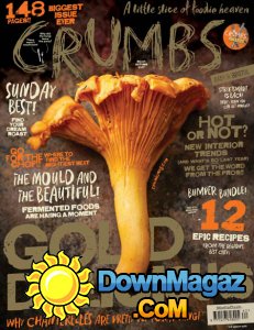 Crumbs Bath & Bristol - Autumn 2017