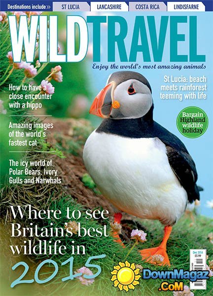 Wild Travel - December 2014 Wild Travel - December 2014