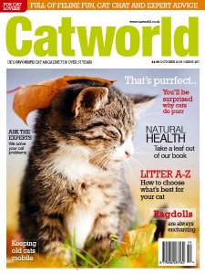 Cat World - 10.2018 Cat World - 10.2018