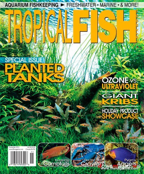 Tropical Fish Hobbyist Magazine November 2012 Tropical Fish Hobbyist Magazine November 2012