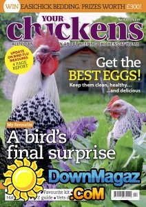Your Chickens - 04.2017 Your Chickens - 04.2017