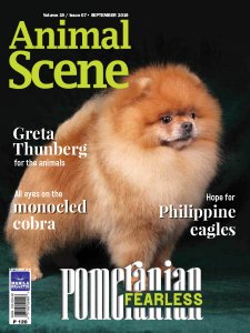 Animal Scene - 09.2019 Animal Scene - 09.2019