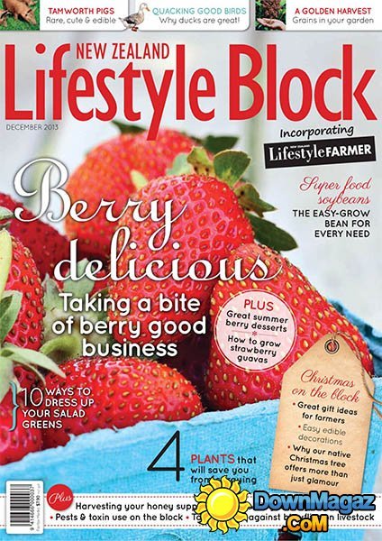 Lifestyle Block New Zealand - December 2013 Lifestyle Block New Zealand - December 2013