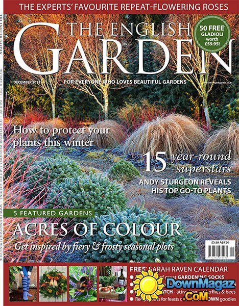 The English Garden - December 2013 The English Garden - December 2013
