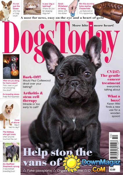 Dogs Today UK - October 2015 Dogs Today UK - October 2015