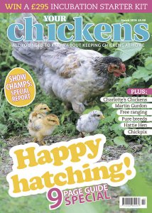 Your Chickens - 03.2018 Your Chickens - 03.2018