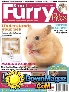 Small Furry Pets - 09/10 2017 Small Furry Pets - 09/10 2017