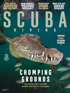 Scuba Diving - 04.2018 Scuba Diving - 04.2018