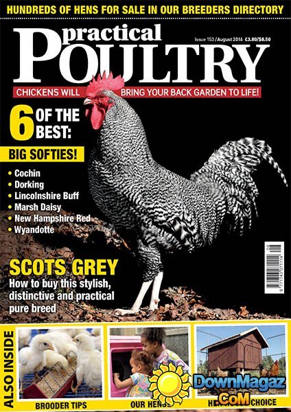 Practical Poultry - August 2016 Practical Poultry - August 2016