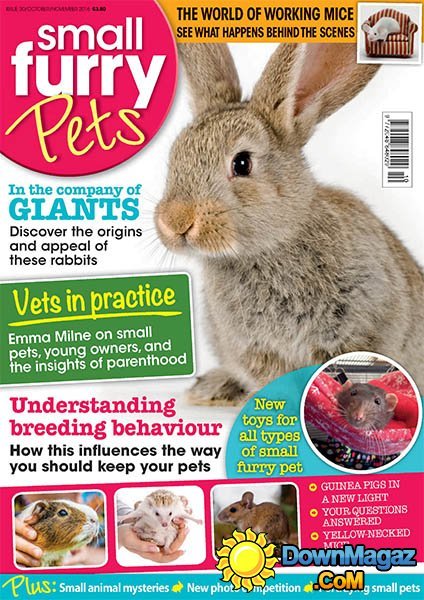 Small Furry Pets - October-November 2016 Small Furry Pets - October-November 2016