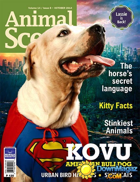 Animal Scene - October 2014 Animal Scene - October 2014