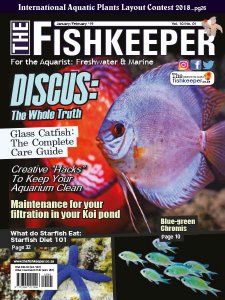 The Fishkeeper - 01/02 2019 The Fishkeeper - 01/02 2019