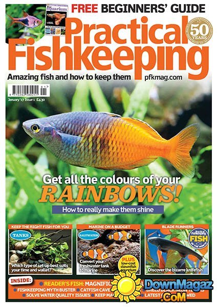 Practical Fishkeeping - 01.2017