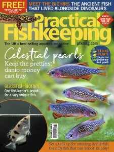 Practical Fishkeeping - 10.2018 Practical Fishkeeping - 10.2018
