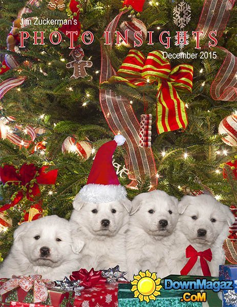 Photo Insights USA - December 2015