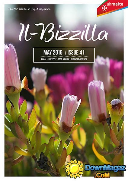 Il-Bizzilla - May 2016 Il-Bizzilla - May 2016