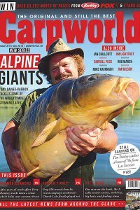 Carpworld - 12.2016 Carpworld - 12.2016