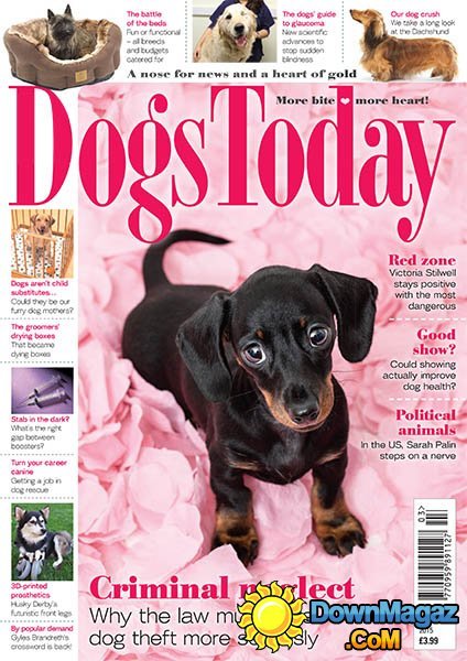 Dogs Today - March 2015