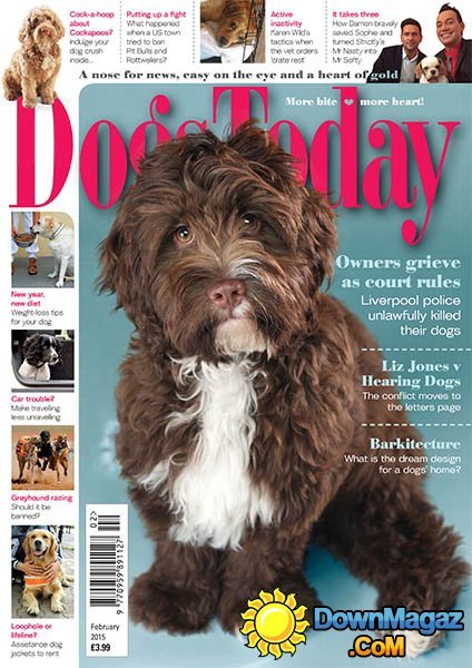Dogs Today - February 2015