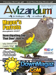 Avizandum - 11.2017 Avizandum - 11.2017