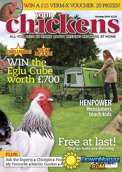 Your Chickens - October 2016 Your Chickens - October 2016