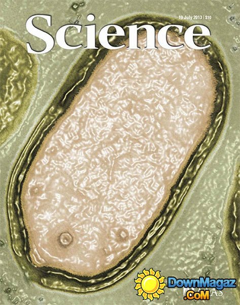 Science - 19 July 2013 Science - 19 July 2013