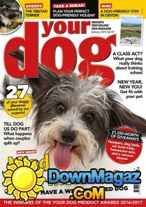 Your Dog - 01.2017 Your Dog - 01.2017