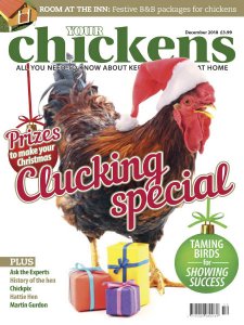 Your Chickens - 12.2018 Your Chickens - 12.2018