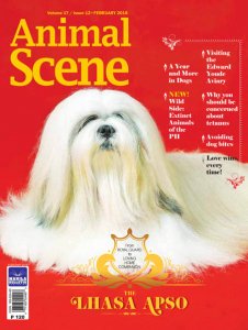 Animal Scene - 02.2018 Animal Scene - 02.2018