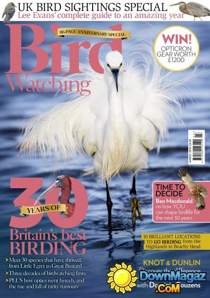 Bird Watching - March 2016 Bird Watching - March 2016