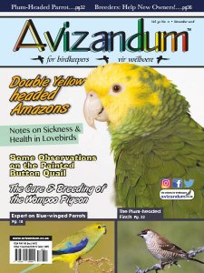 Avizandum - 11.2018 Avizandum - 11.2018