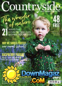 Countryside - 06.2017 Countryside - 06.2017