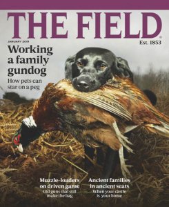The Field - 01.2019 The Field - 01.2019